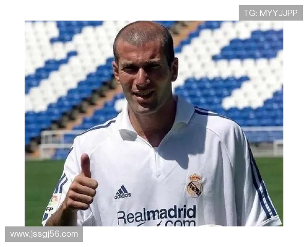 齐达内技术特点