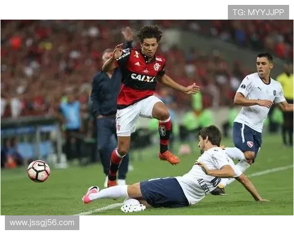 南美足球战略布局持续优化，青训体系与赛事竞争力同步提升