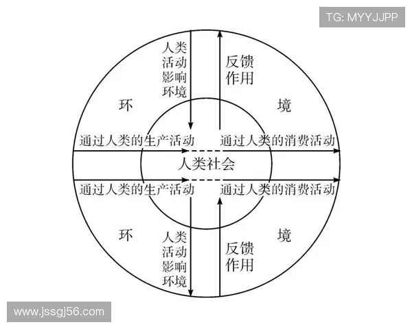 卡马文加：从奇兵到稳定轮换的角色演变分析